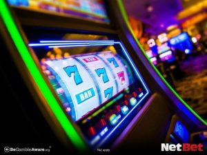 pgnew - Login Fácil Bet