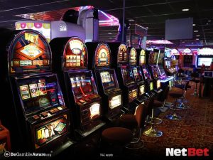 pgnew - Slot Oficial Login