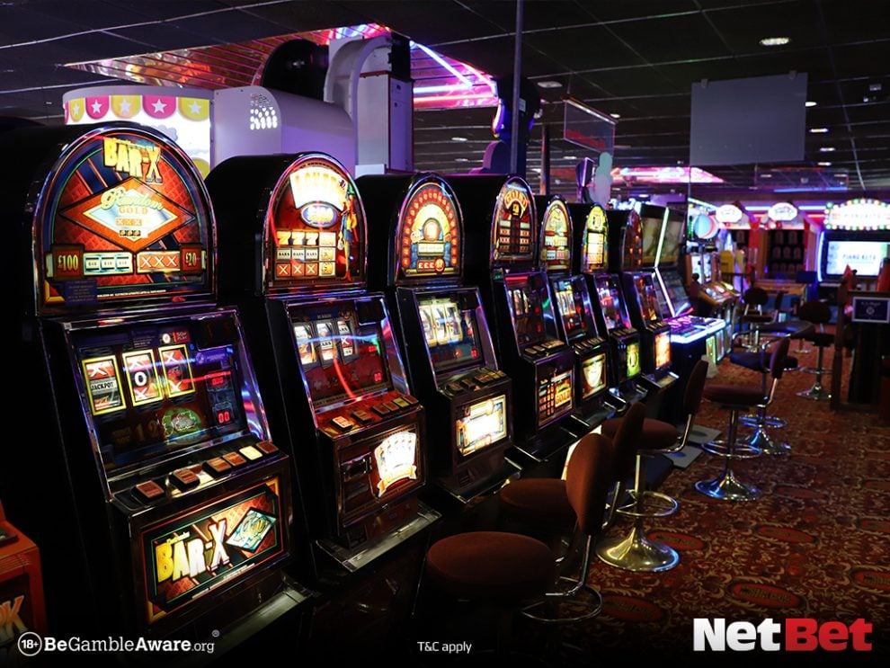 pgnew - Registro Bet Oficial