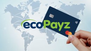 pgnew - Plataforma Bet Login
